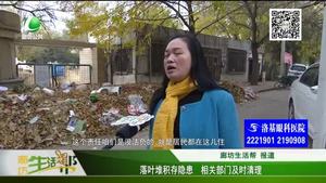 落叶堆积存隐患 相关部门及时清理