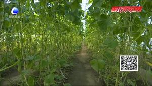 三河市洵阳镇三里庄村整治环境建美丽乡村