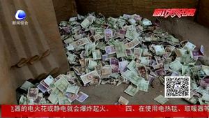 在博物馆投币祈福  公民公共素养有待提高