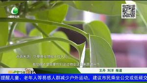 楼上漏水 楼下遭殃