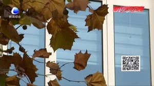 本周气温小幅波动 周中期将现小雨天气