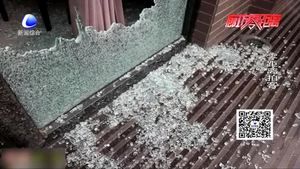 廊坊三大街店铺被砸 盗贼2分钟结束“战斗”