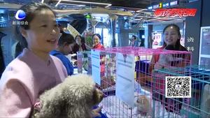 共享宠物狗不想养了就退 你怎么看？