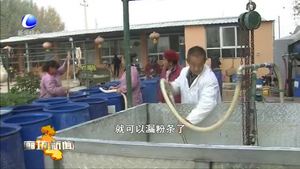 做红薯深加工大文章 发展生态农业促农民增收