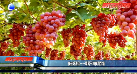 食在好源头——葡萄干的食用价值