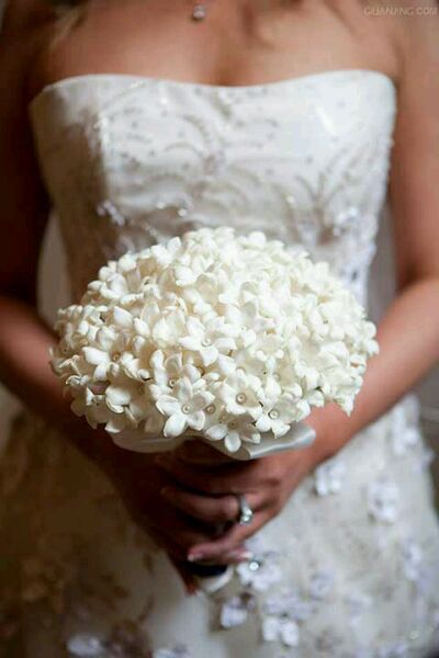 我们结婚吧11月22日