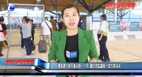 港珠澳大桥开通运营一个月 廊坊首批游客一览大桥风采