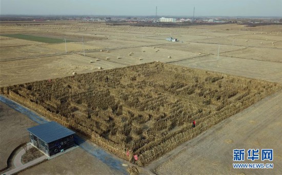 （社会）（2）挑战玉米秸秆迷宫