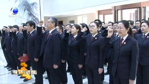 市检察院举行宪法宣誓仪式