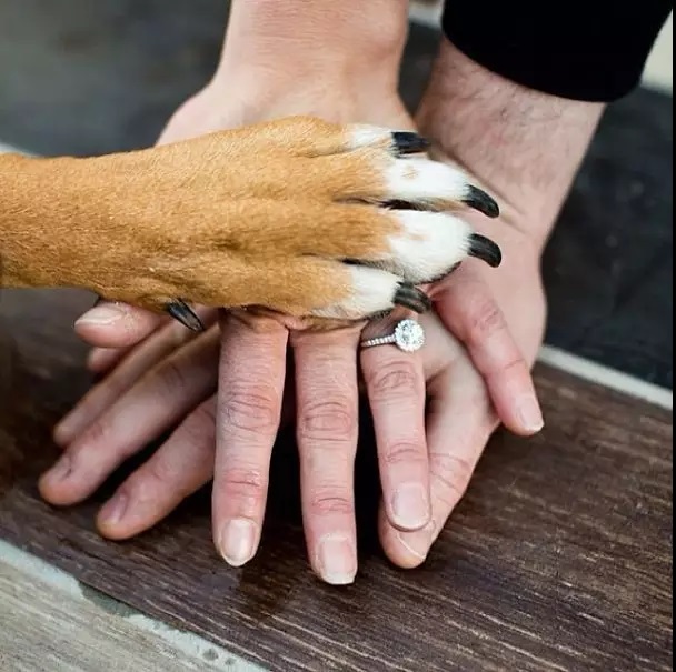 我们结婚吧11月29日