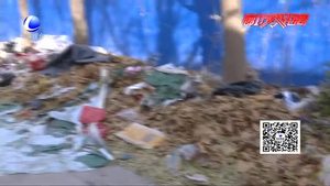 市民倡议：市民素质有待提升 应