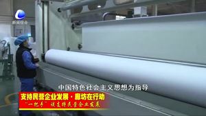 “一把手”谈支持民营企业发展