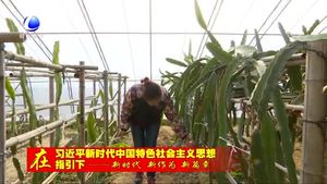 大厂县发展全域旅游 打造北京城市副中心后花园