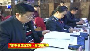 “一把手”谈支持民营企业发展