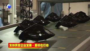 香河新兴产业示范区精准发力推进民营经济高质量发展