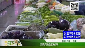 西葫芦致癌是真的吗？