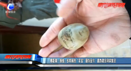 零距离·热线：多年前的“羊宝”留存至今 真伪难定寻求鉴定