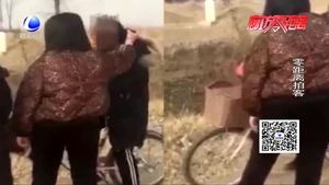 一小学生被人抽耳光 拽头发 文安警方已介入调查