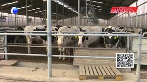 智慧牧业 打造“全民共养”新模式