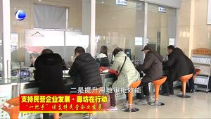 “一把手”谈支持民营企业发展