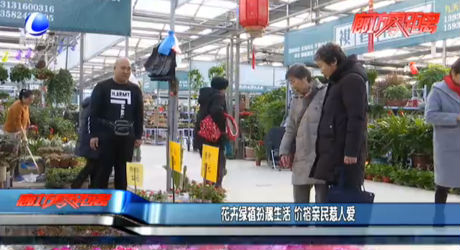 花卉绿植扮靓生活 价格亲民惹人爱