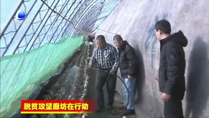 三河市山清种植有限公司以林果木废物生产香菇助力高质量脱贫