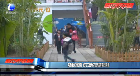 姹紫嫣红皆风景 家门口感受冬日里的美好时光