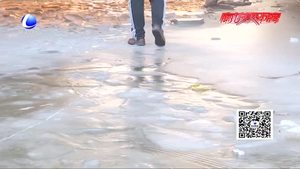 零距离·热线：轿车过桥洞掉进冰窟窿 司机希望设置警示牌