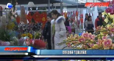 年宵花受热捧 节日装点年味浓