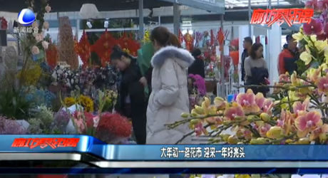 大年初一逛花市 迎来一年好兆头