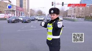 二十年春节坚守 只为护航回家路