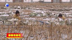 香河县庆功台美丽乡村谱新篇