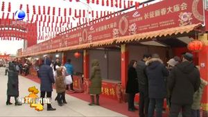 春节期间我市各地庙会年味浓