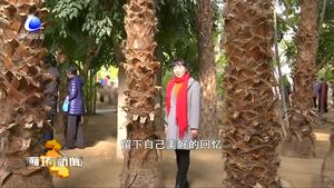 文明旅游：维护景区环境让风景更美丽