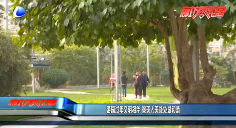 游园过年文明相伴 景美人美处处显和谐