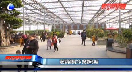 观花踏青游园过大年 情浓意浓话幸福