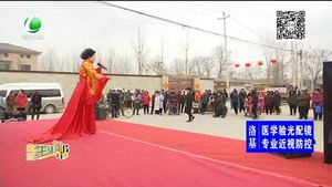 欢欣鼓舞过大年 送文化进万家