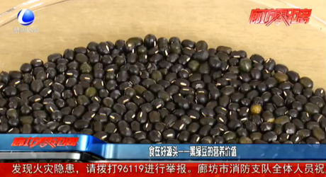食在好源头——黑绿豆的营养价值