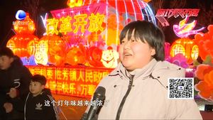 万盏花灯闹元宵 红红火火胜芳年