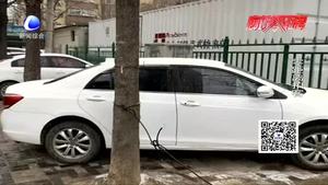 我市市区多条街巷成了停车场