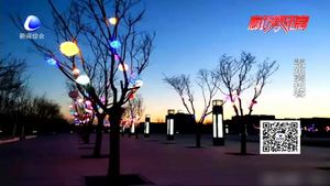 镜头下永清生态公园的美与丑