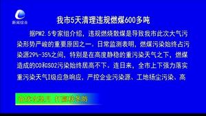 我市5天清理违规燃煤600多吨