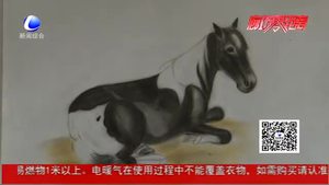 草根画家赵凤鸾 方寸之间勾勒山水情