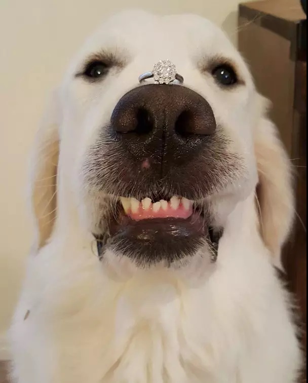 我们结婚吧2月25日