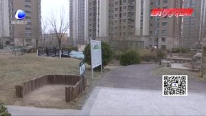 “宠物厕所”进小区 文明养宠新举措获居民点赞