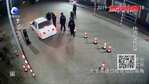 酒驾司机抗拒执法 辱骂踢踹交警被刑拘