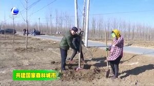 三河市皇庄镇掀起春季植树造林热潮