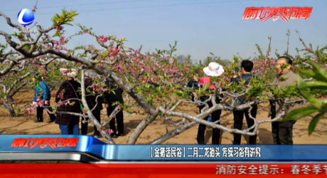 【金猪话民俗】二月二龙抬头 传统习俗有讲究