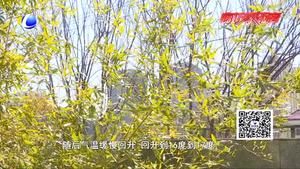 小雨过后 阳光回归北风起