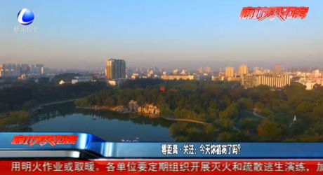 零距离关注：今天你植树了吗？